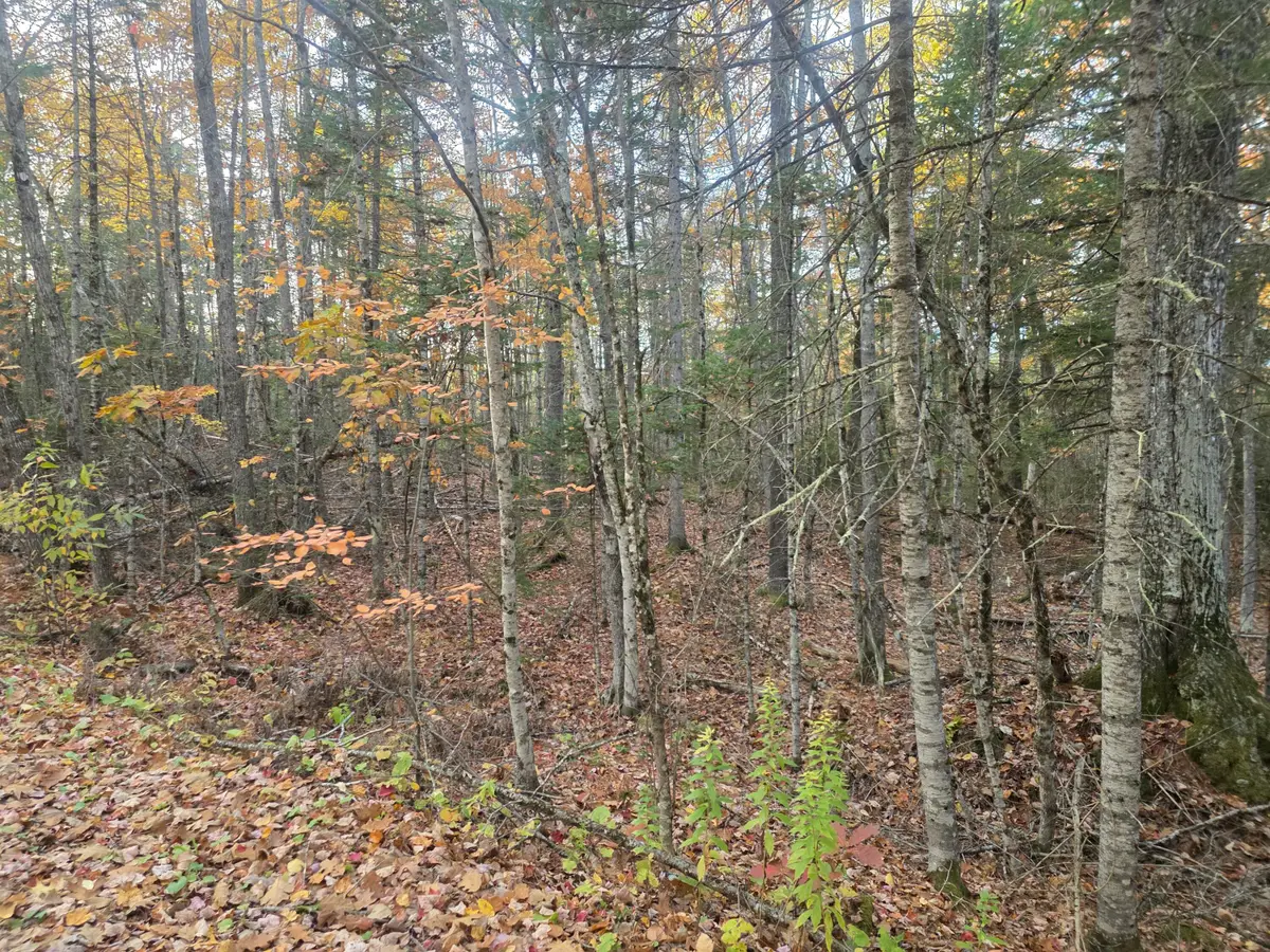Lot 9(16C) W Cider Mill Lane, Swanville, ME 04915 - #1