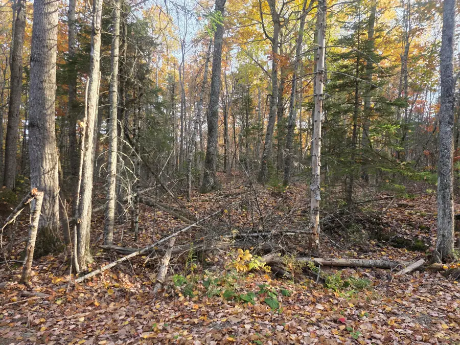 Lot 9(16C) W Cider Mill Lane, Swanville, ME 04915 - #3