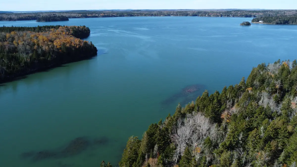 17 Collins Cove Road, Machiasport, ME 04655 - #1