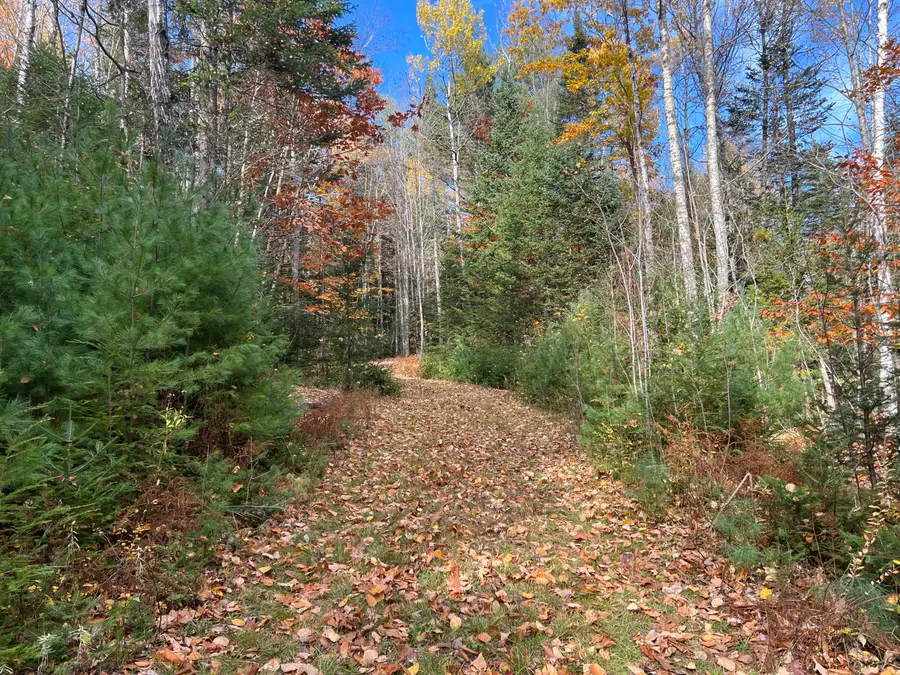 479 Rugged Lane, Rumford, ME 04276 - #2