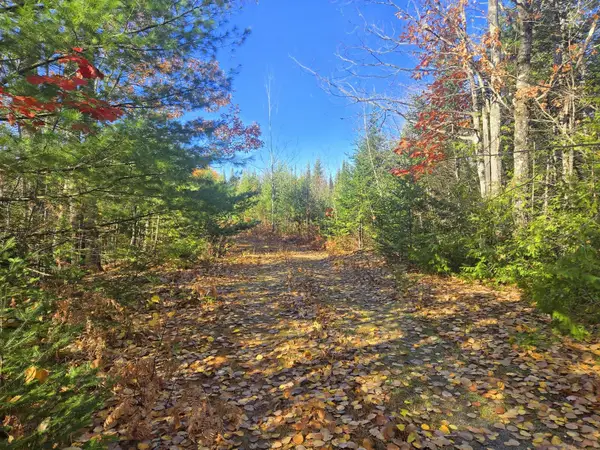 Lot 1A East Madrid Road, Phillips, ME 04966
