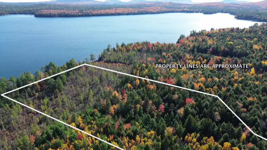 2 Wolf Cove Road, Eastbrook, ME 04634 - #2