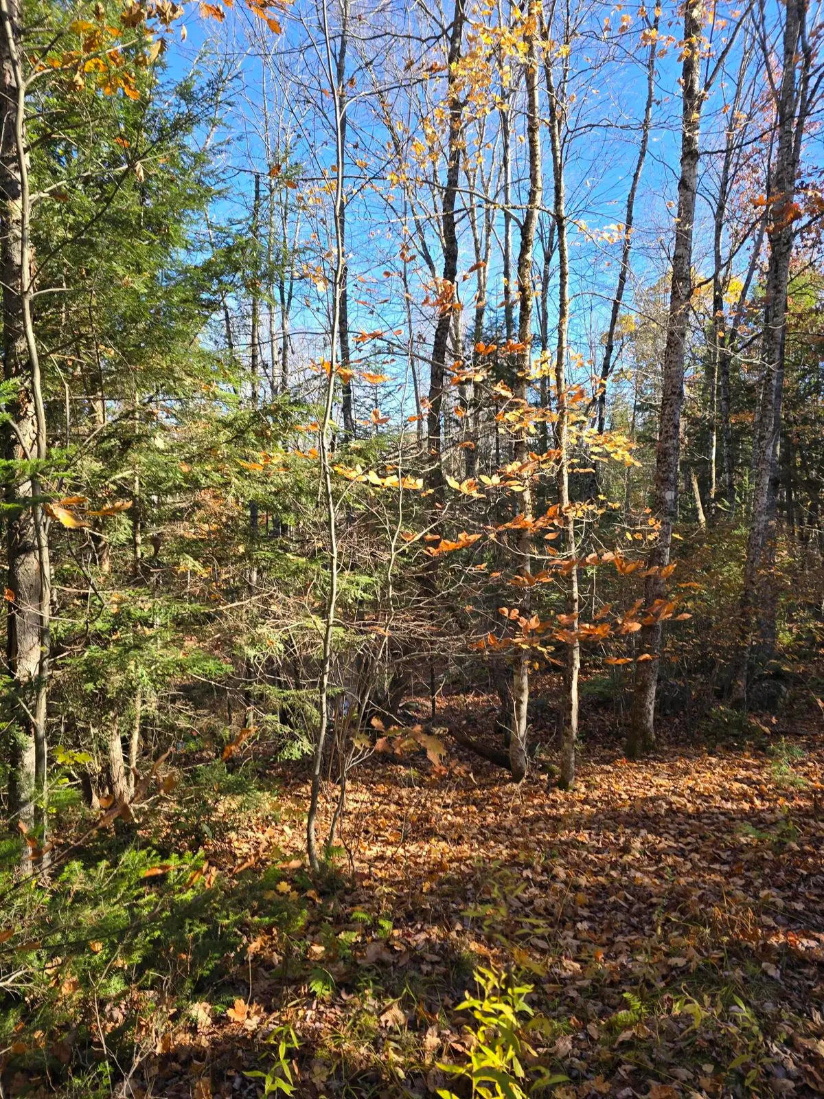 00 Wilson Road, Atkinson, ME 04426 - #1