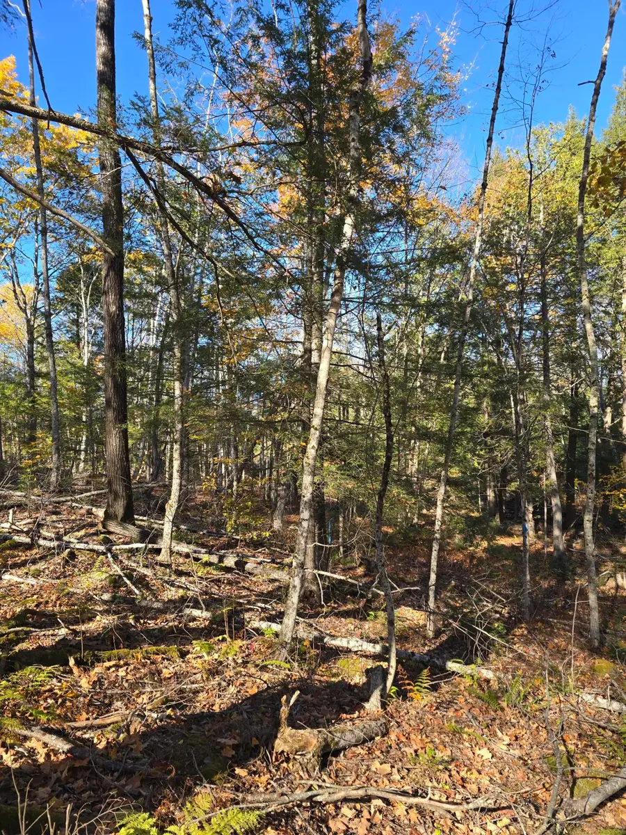 00 Wilson Road, Atkinson, ME 04426 - #3