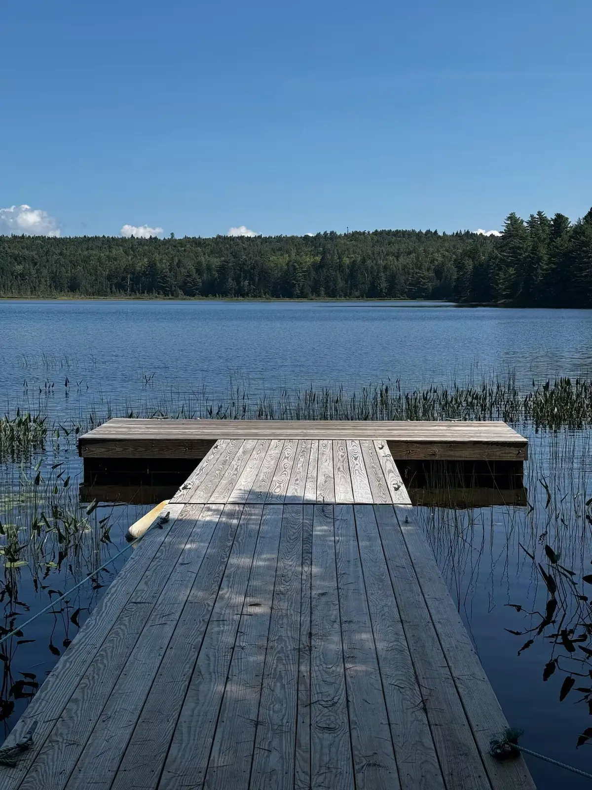 484 Steam Mill Road, Robbinston, ME 04671 - #1