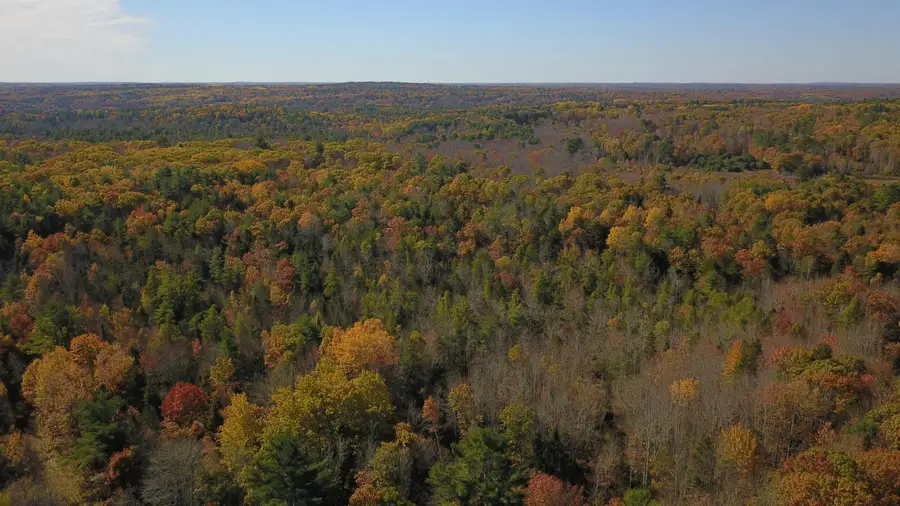 Lot # 51-B Washington Road, Waldoboro, ME 04572 - #2