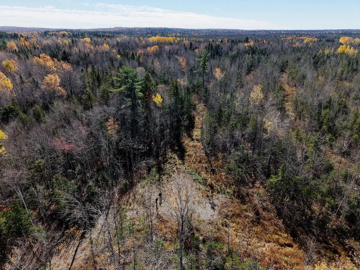 301  Estabrook Road, Amity, ME 04471 - #1
