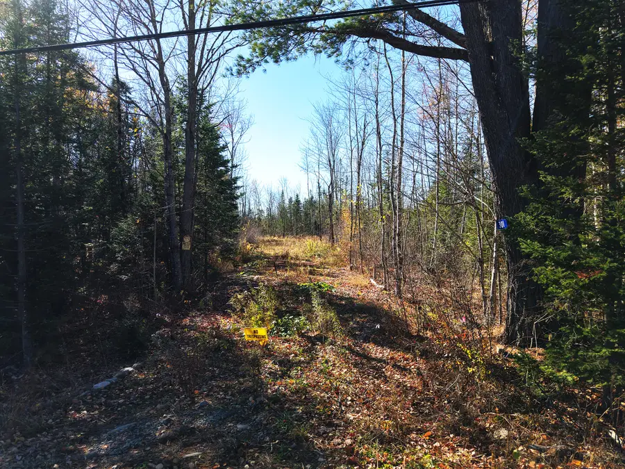 301  Estabrook Road, Amity, ME 04471 - #2