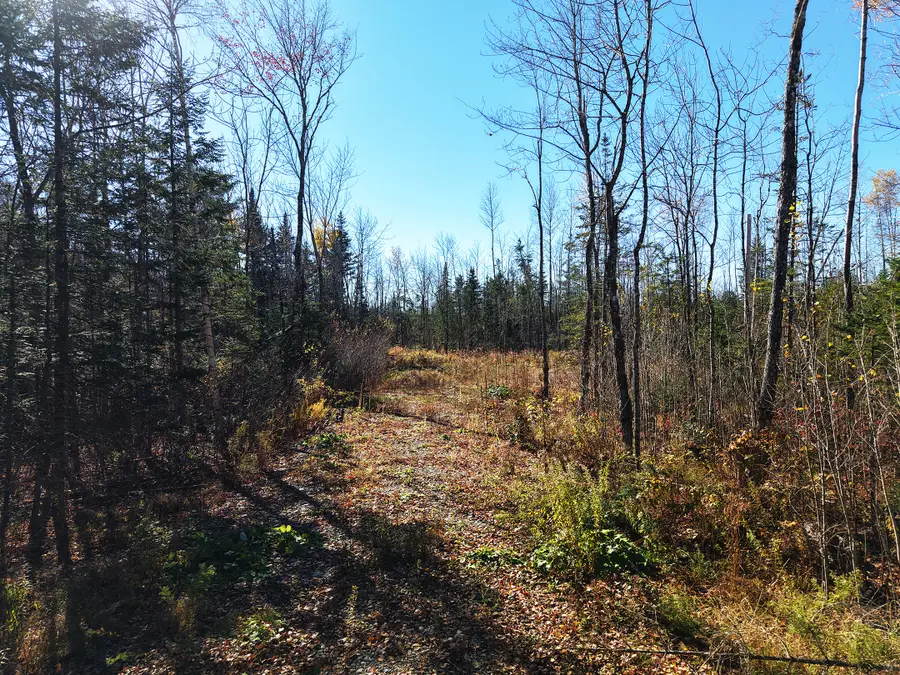 301  Estabrook Road, Amity, ME 04471 - #3