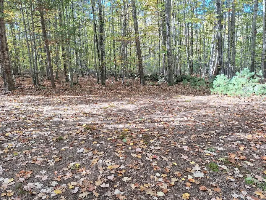 U12 Lot 44 Fellows Farm Road, Fayette, ME 04349 - #3
