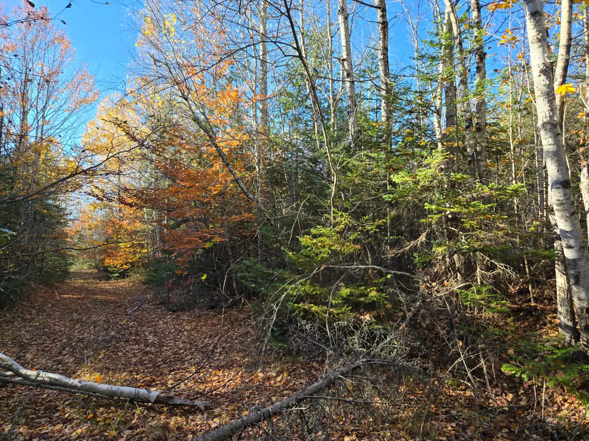 M8 L17 Off Rt2, Canaan, ME 04924 - #1