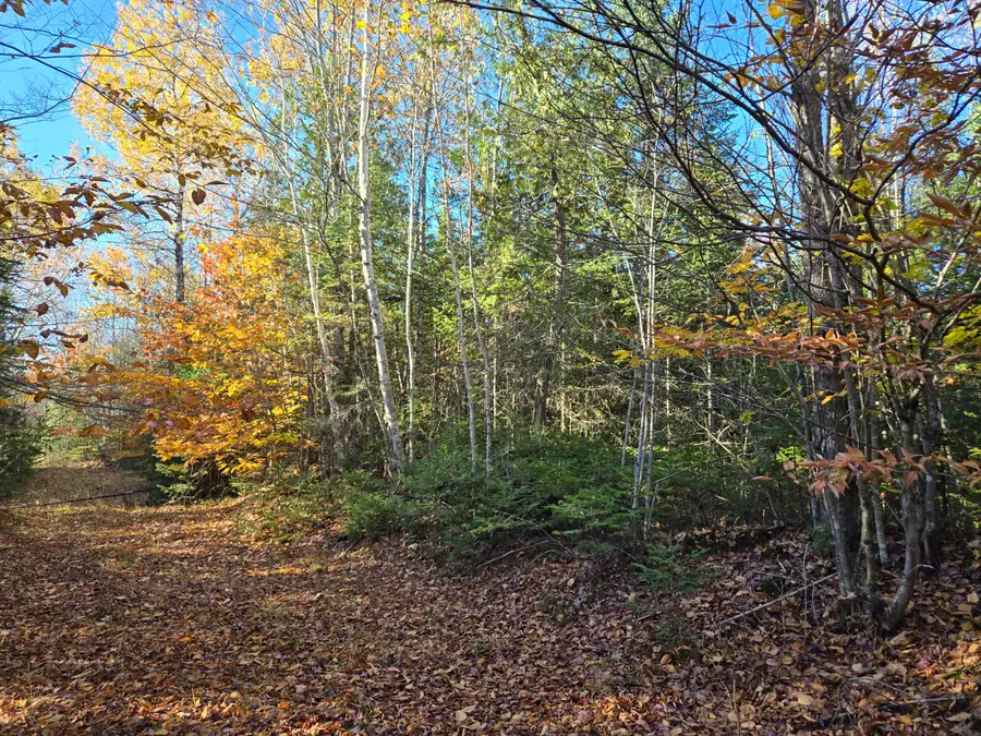M8 L17 Off Rt2, Canaan, ME 04924 - #2