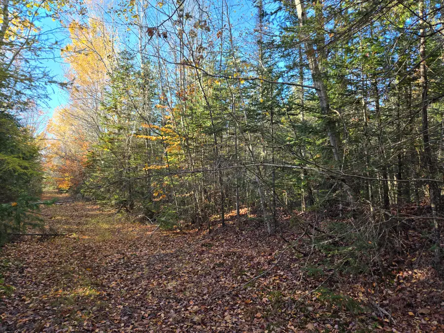 M8 L17 Off Rt2, Canaan, ME 04924 - #3