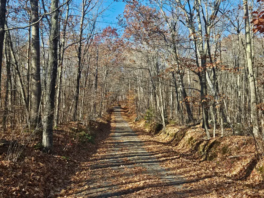 134 Pratt Mountain Road, New Vineyard, ME 04956 - #3