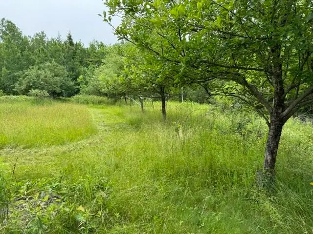 Map 4 Lot 17 Andrew Ham Road, Cambridge, ME 04923 - #1
