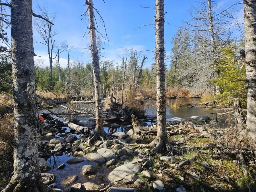 0 Pease Road, Cambridge, ME 04923 - #3