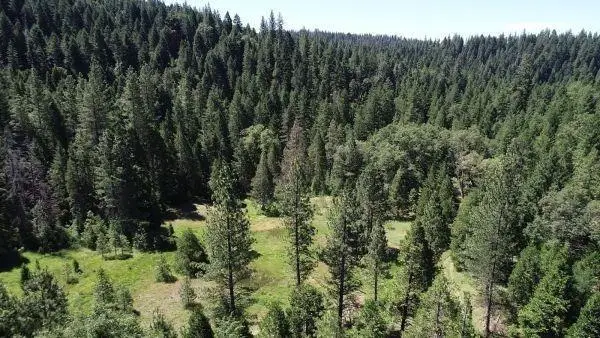 490 Omo Ranch Road, Somerset, CA 95684 - Image #1