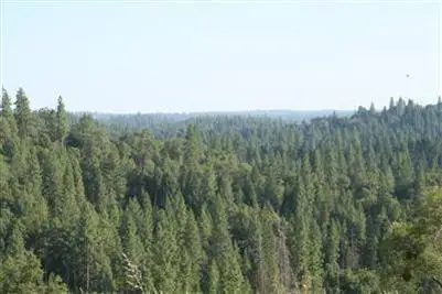 490 Omo Ranch Road, Somerset, CA 95684 - Image #2