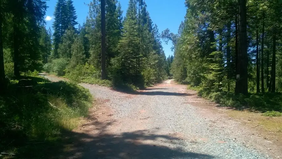 490 Omo Ranch Road, Somerset, CA 95684 - Image #3