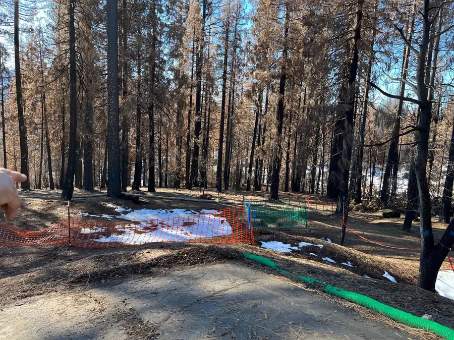 4962 Edgewood Circle, Grizzly Flats, CA 95636 - Image #3