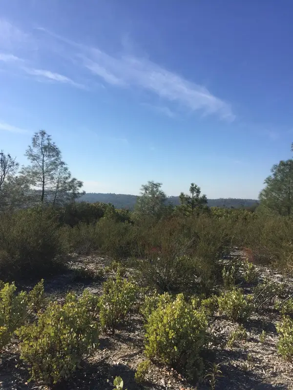 0 Ranch Camp Road, Somerset, CA 95684