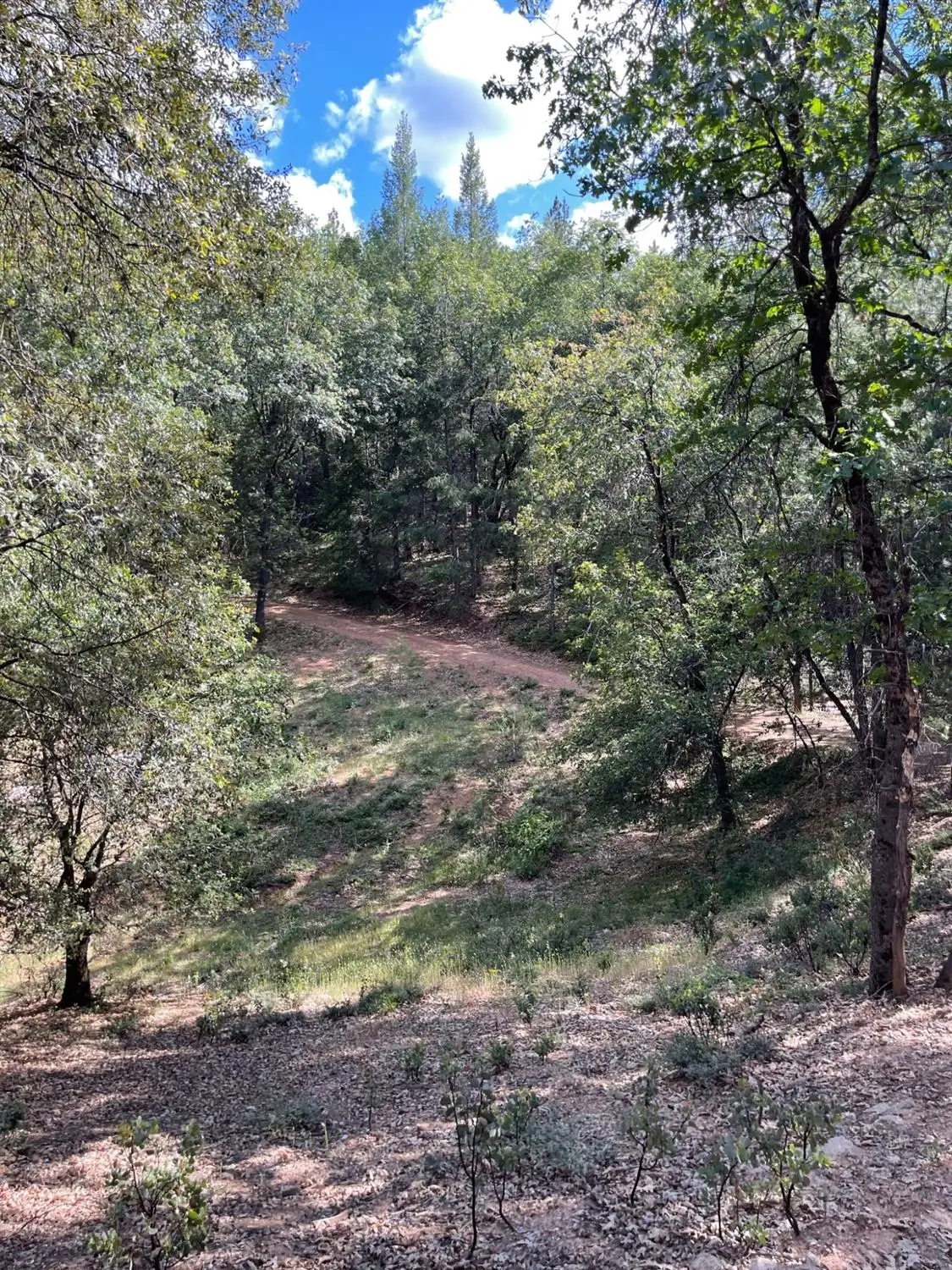 0 Loggers Trail, Colfax, CA 95713 - Image #1