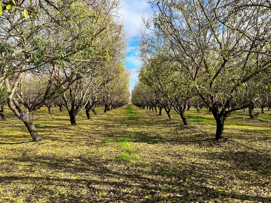 0 Eucalyptus Avenue, Winton, CA 95388 - Image #2