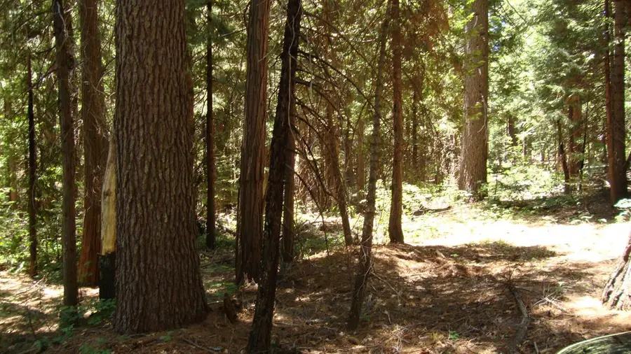 0 Culberson Road, Alta, CA 95701 - #3