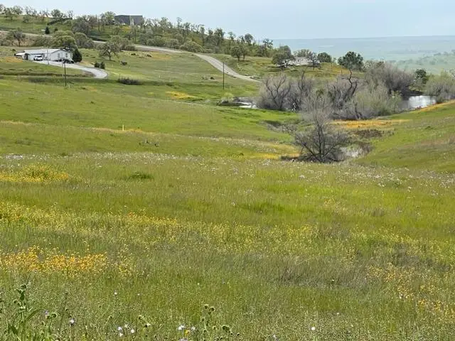 9693 Dolorosa Street, La Grange, CA 95329 - Image #1