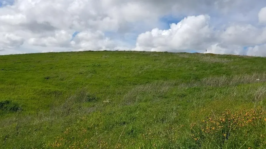 9693 Dolorosa Street, La Grange, CA 95329 - Image #2