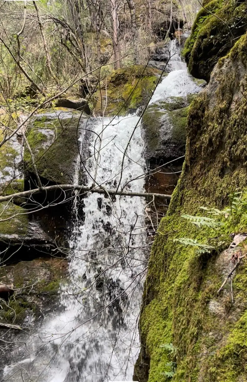 15735 Mountain House Road, Camptonville, CA 95922 - Image #1