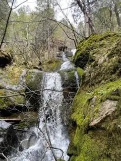 15735 Mountain House Road, Camptonville, CA 95922 - Image #2