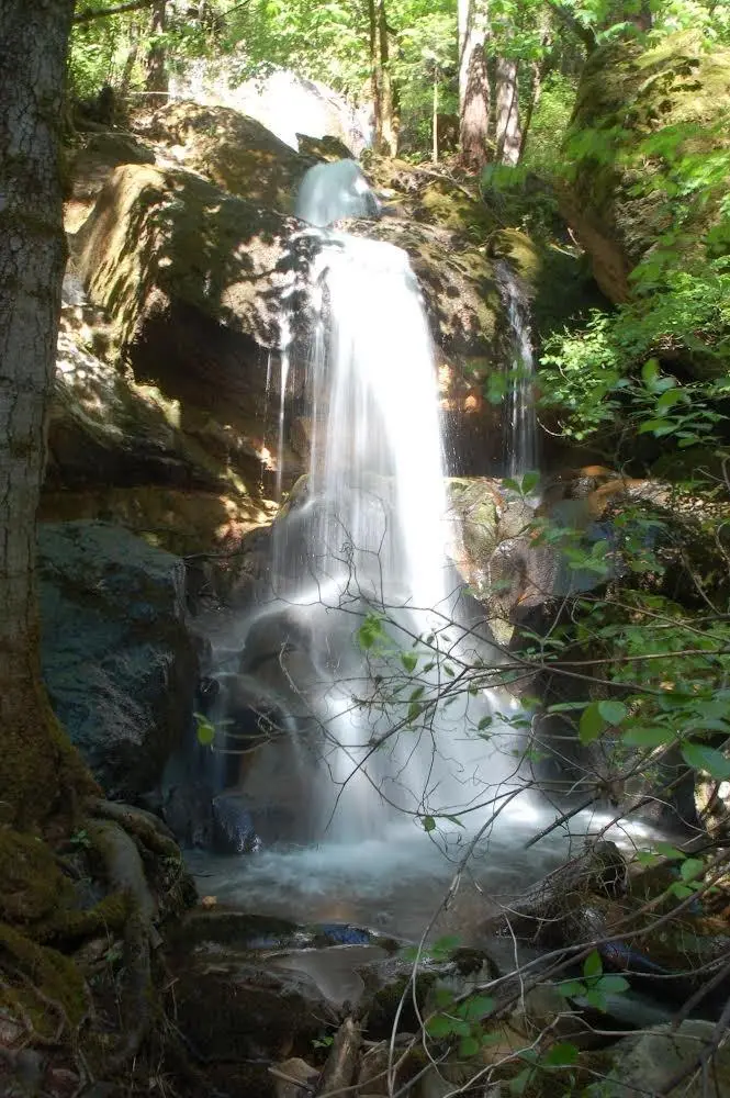 15735 Mountain House Road, Camptonville, CA 95922 - Image #3