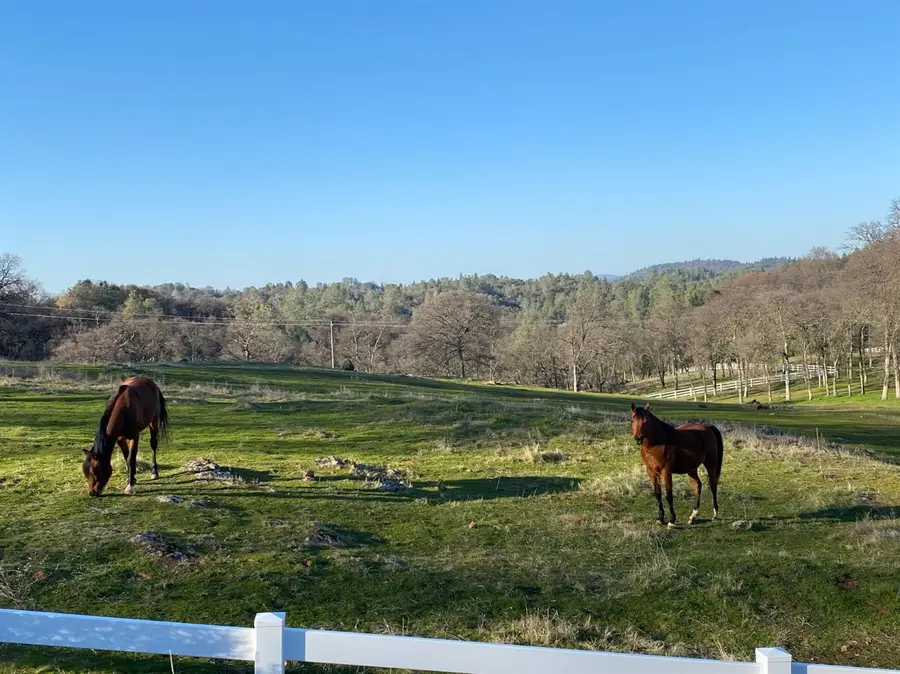 22498 Retherford Road, Auburn Unincorp, CA 95602 - Image #2