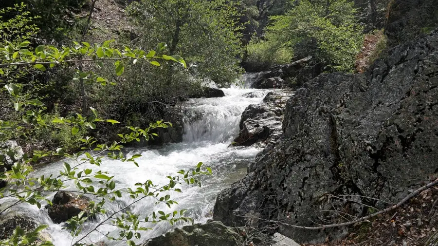 25555 Ca 49, Sierra City, CA 96125 - Image #2