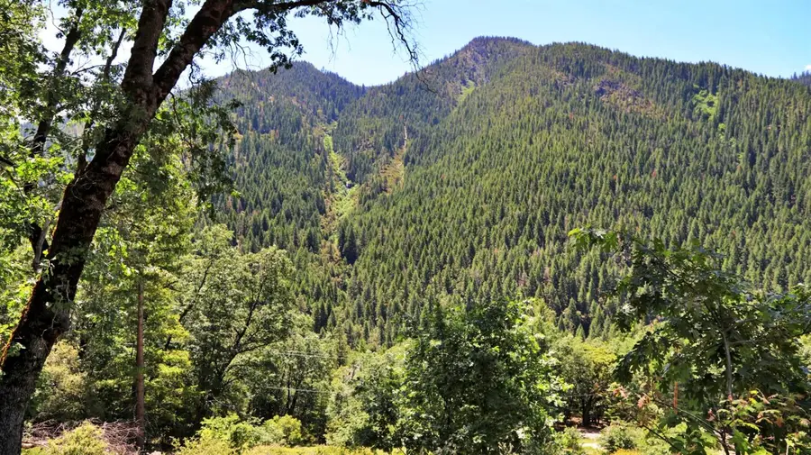 25555 Ca 49, Sierra City, CA 96125 - Image #3