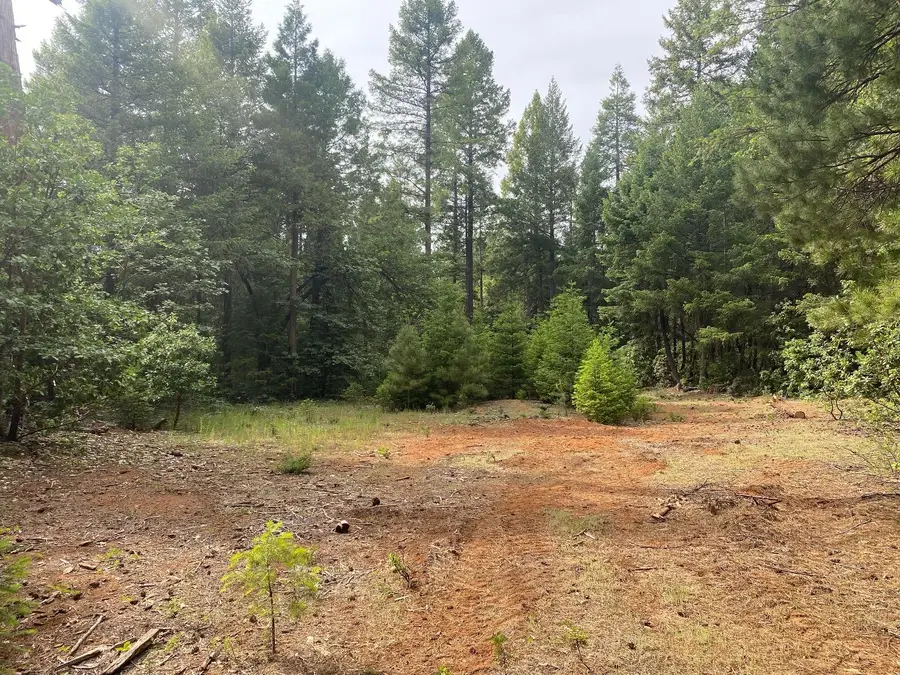 8180 Wild Horse Trail, Georgetown, CA 95634 - Image #2