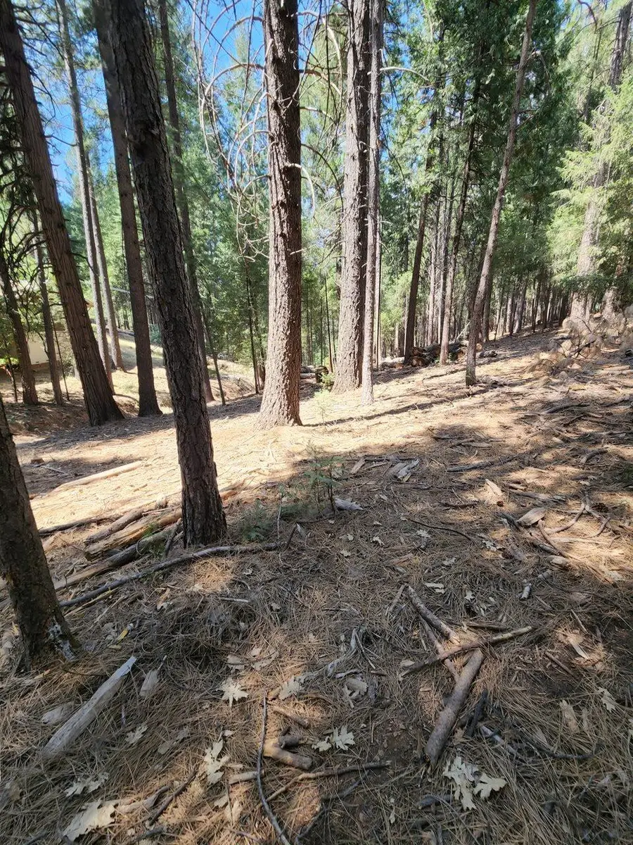 0 Juarez Road, Pollock Pines, CA 95726 - Image #3