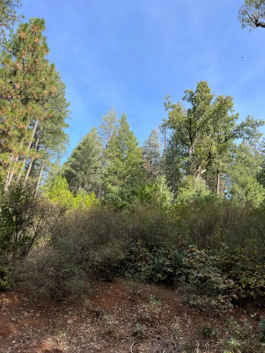 0 Tin Ranch Road, Georgetown, CA 95634 - Image #2