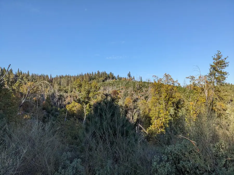 0 Rigby Lane, Applegate, CA 95703 - Image #3