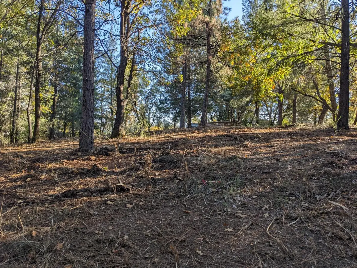 0 Rigby Lane, Applegate, CA 95703 - Image #1