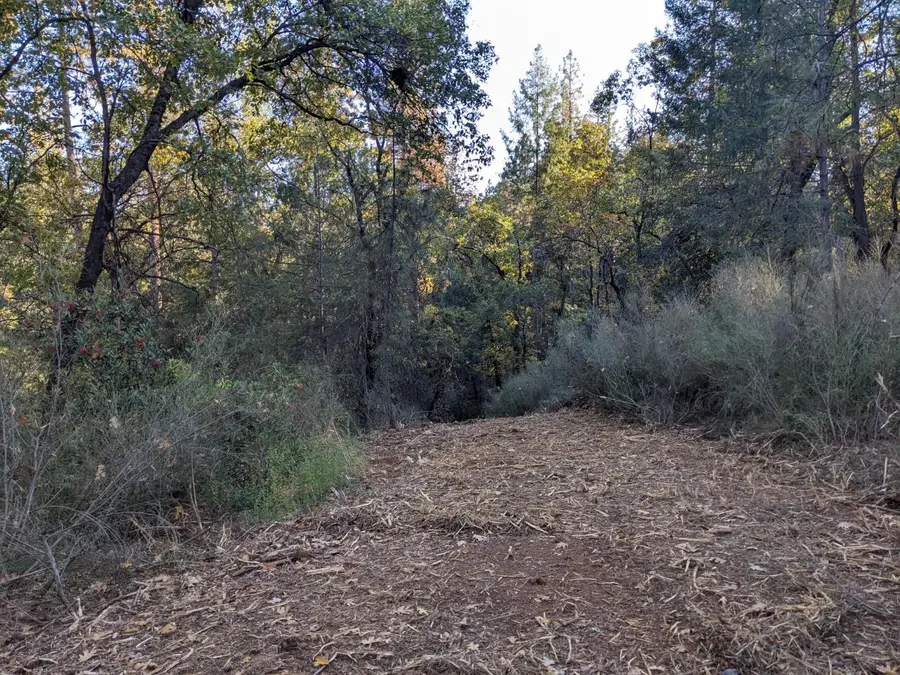 0 Rigby Lane, Applegate, CA 95703 - Image #2