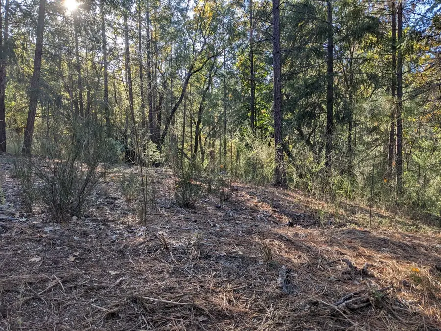 0 Rigby Lane, Applegate, CA 95703 - Image #3