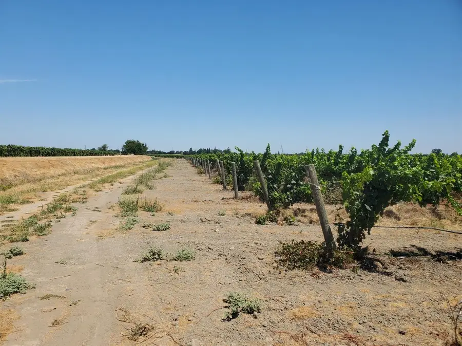 10698 W Barber Road, Thornton, CA 95686 - Image #2