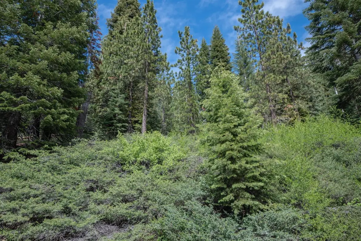 51 Liberty Road, Dorrington, CA 95223 - #1