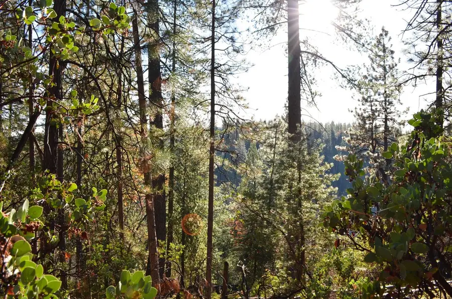 1703 War Hawk Way, Arnold, CA 95223 - Image #2