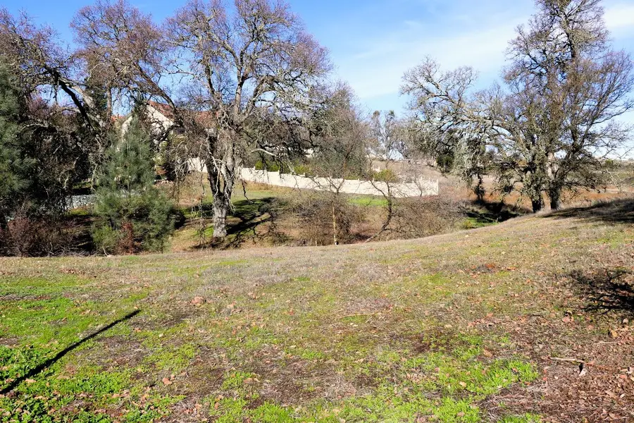 337 Saint Andrews, Valley Springs, CA 95252 - Image #3