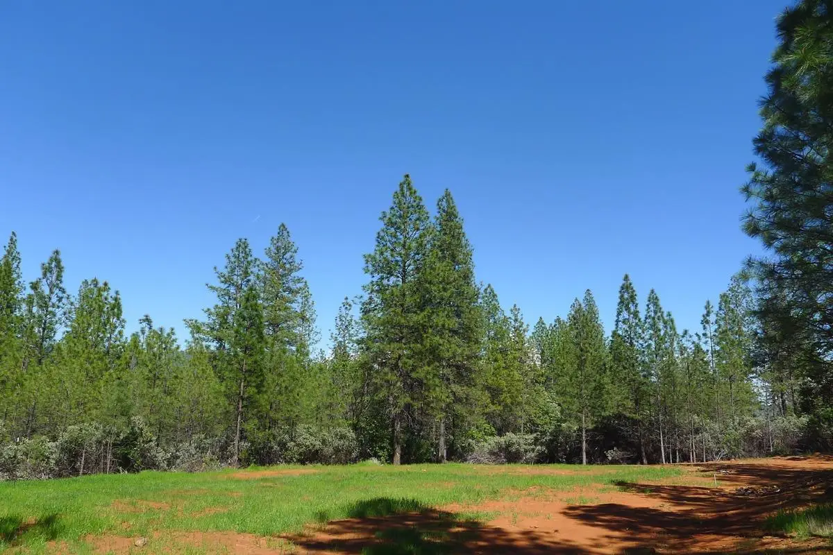 13555 Providence Way, Dobbins, CA 95935 - Image #1