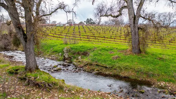 19944 Shenandoah School Road, Plymouth, CA 95669