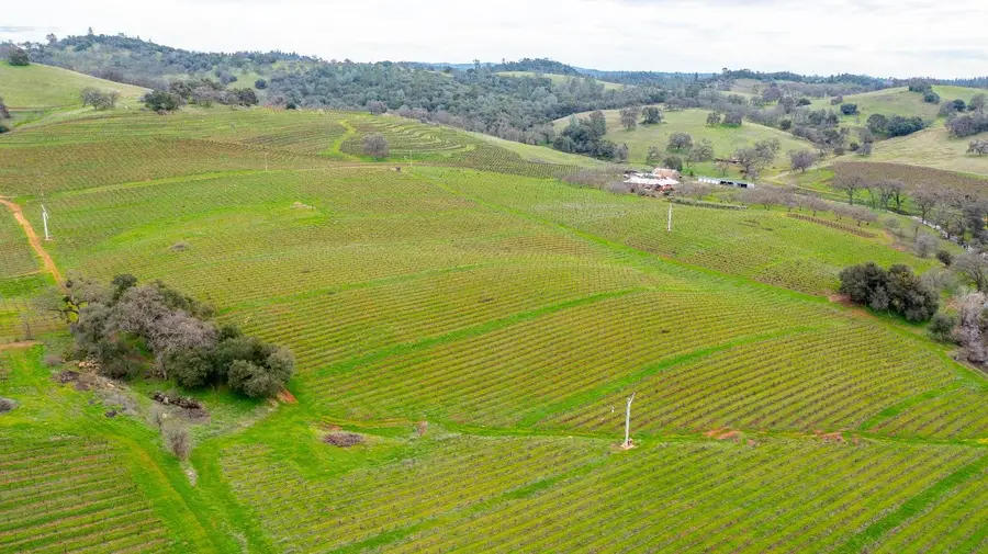 19944 Shenandoah School Road, Plymouth, CA 95669 - Image #2